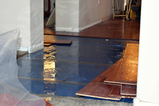 Professional Water Damage Restoration technician working in Samaria, MI